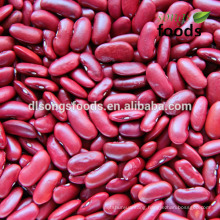 Dark Red Kidney Beans, British Type